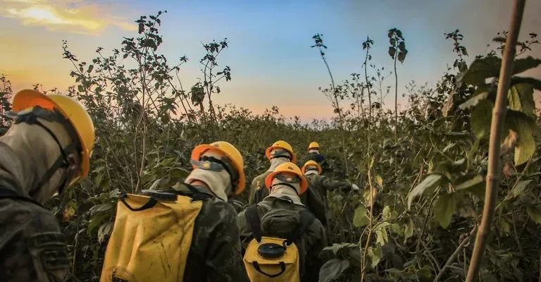 Com apoio das Forças Armadas, Governo reforça combate às queimadas no Pantanal