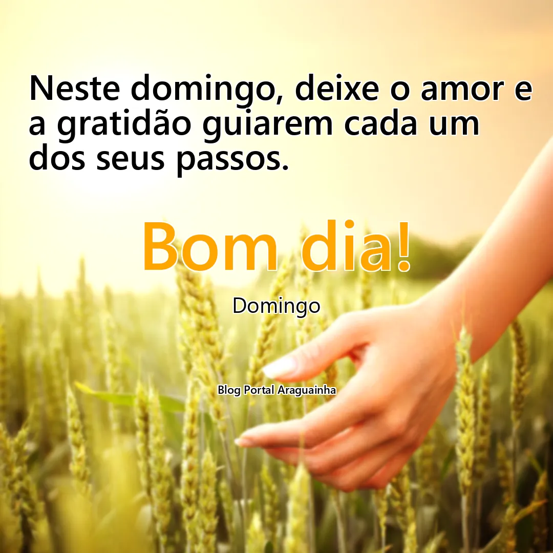 mensagem bom dia - domingo - amor gratidão guiar passos domingo - neste domingo deixe o amor e a gratidão guiarem cada um dos seus passos neste doming