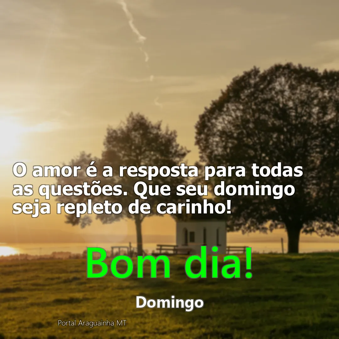 mensagem bom dia - domingo - amor resposta carinho domingo - o amor é a resposta para todas as questões que seu domingo seja repleto de carinho o amor