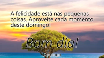 mensagem bom dia - domingo - felicidade pequenas coisas momento domingo - a felicidade está nas pequenas coisas aproveite cada momento deste domingo a