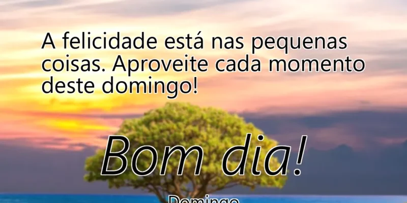 mensagem bom dia - domingo - felicidade pequenas coisas momento domingo - a felicidade está nas pequenas coisas aproveite cada momento deste domingo a