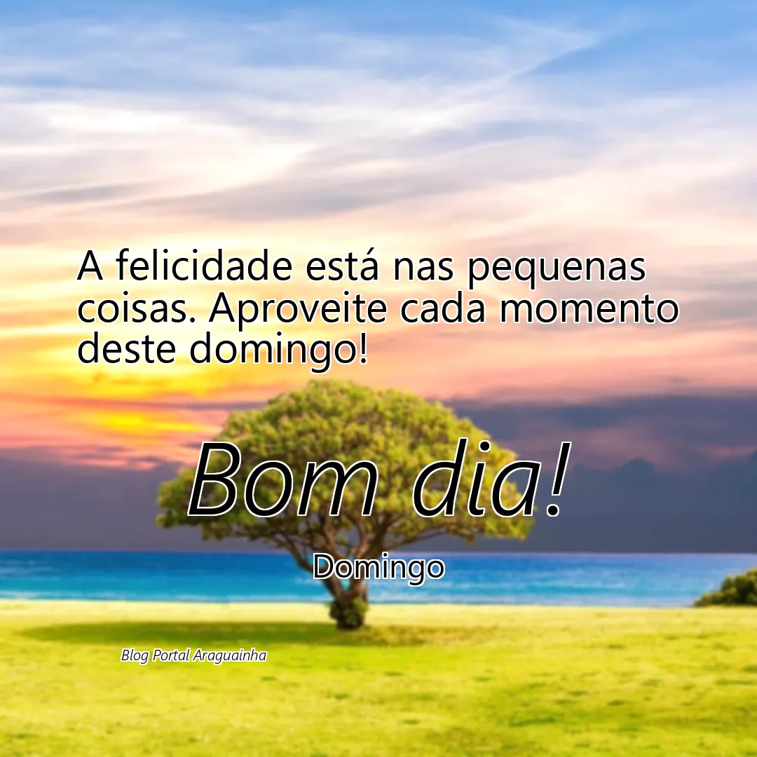 mensagem bom dia - domingo - felicidade pequenas coisas momento domingo - a felicidade está nas pequenas coisas aproveite cada momento deste domingo a