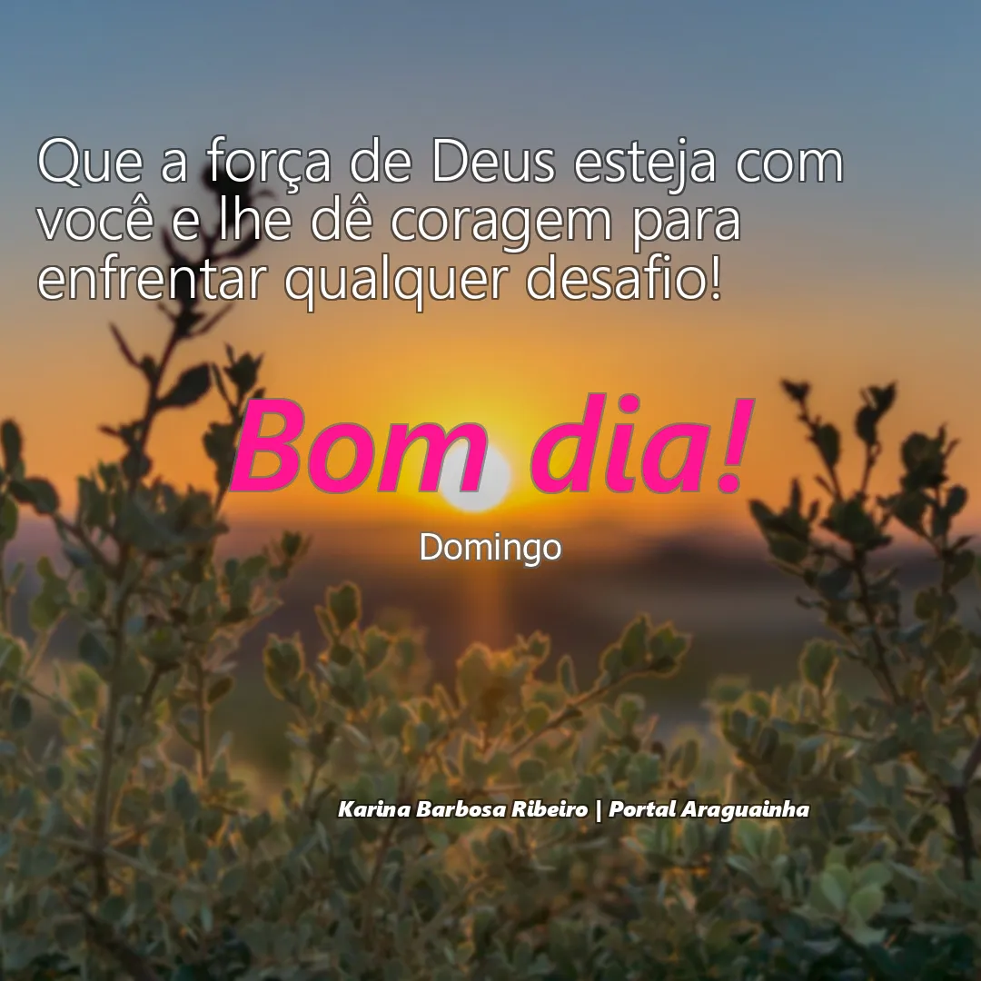 mensagem bom dia - domingo - força de deus coragem desafio domingo - que a força de deus esteja com você e lhe dê coragem para enfrentar qualquer desa