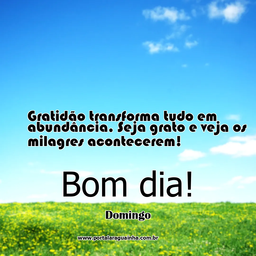 mensagem bom dia - domingo - gratidão abundância milagres domingo - gratidão transforma tudo em abundância seja grato e veja os milagres acontecerem g