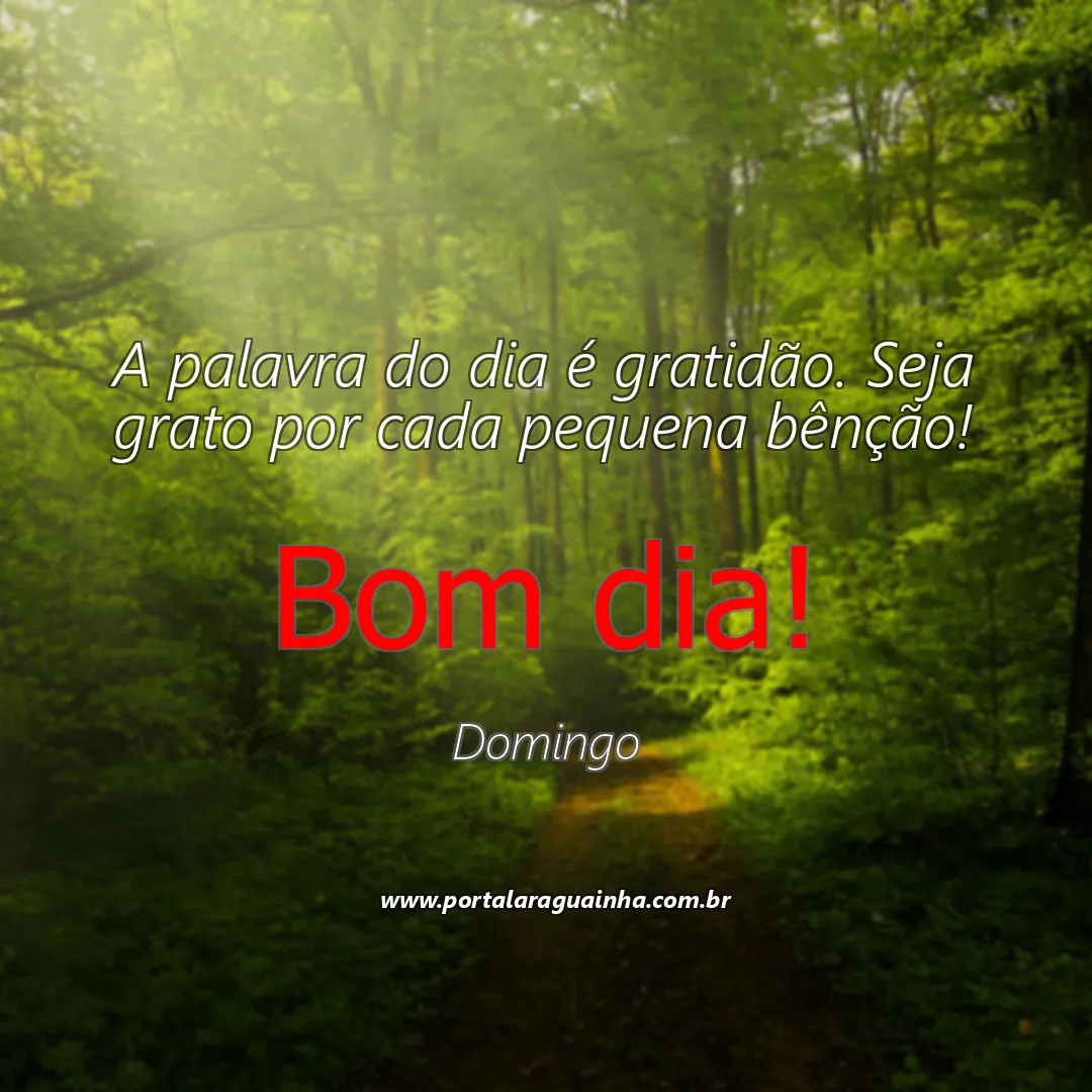 mensagem bom dia - domingo - gratidão palavra do dia bênção domingo - a palavra do dia é gratidão seja grato por cada pequena bênção a palavra do dia 