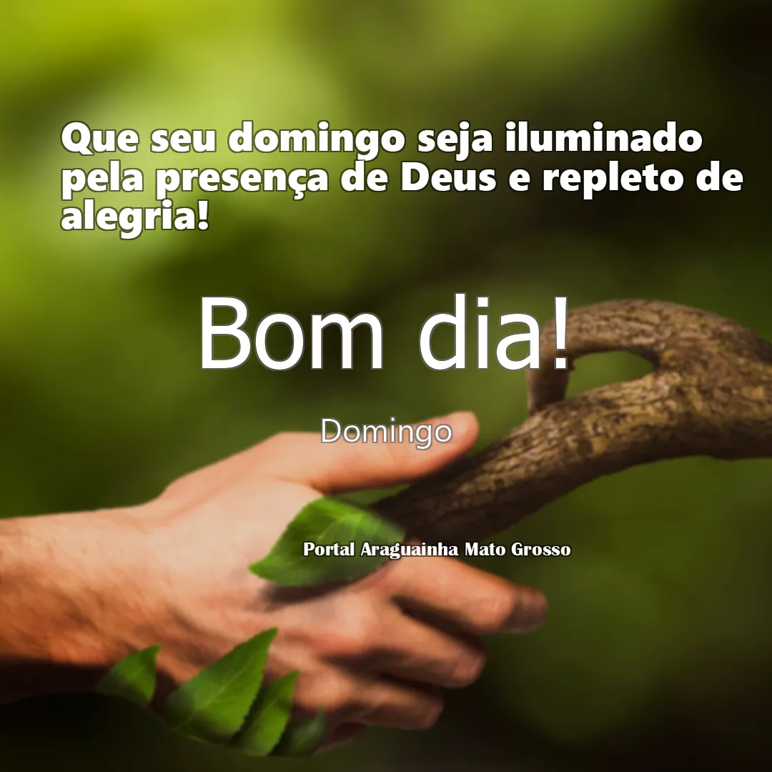 mensagem bom dia - domingo - iluminado presença de deus alegria domingo - que seu domingo seja iluminado pela presença de deus e repleto de alegria qu