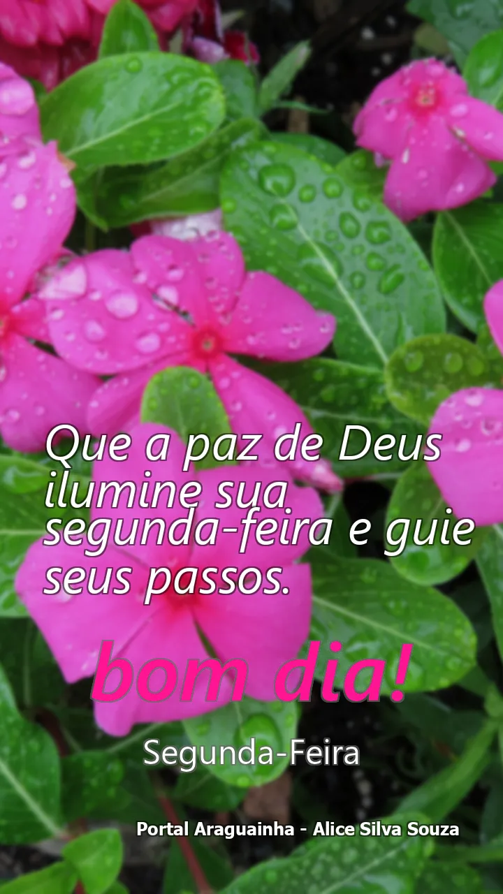 Que a paz de Deus ilumine sua segunda-feira e guie seus passos.