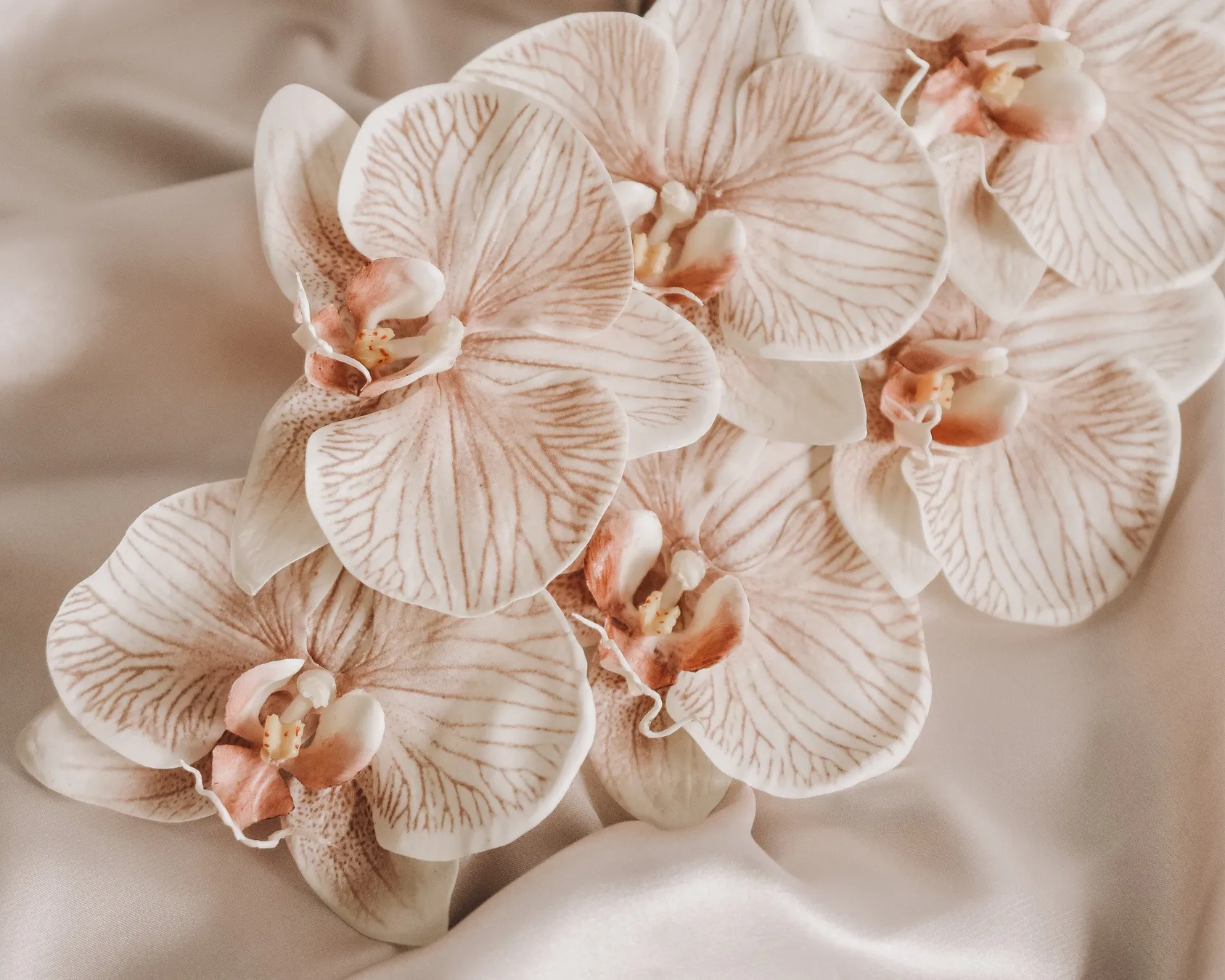 planta-flor-orquidea-9
