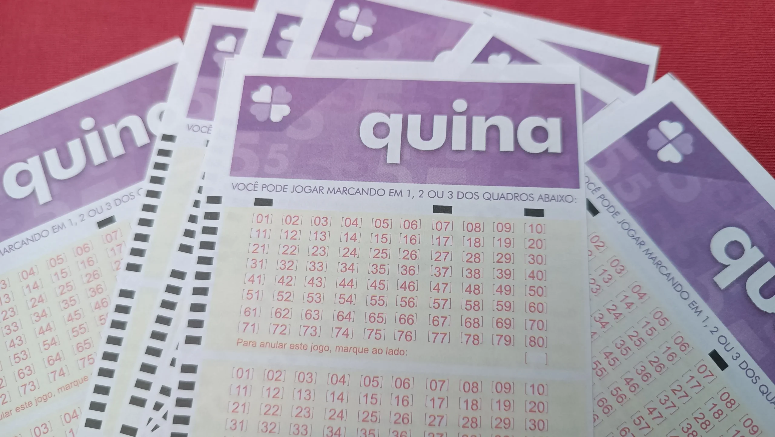 resultado da quina
