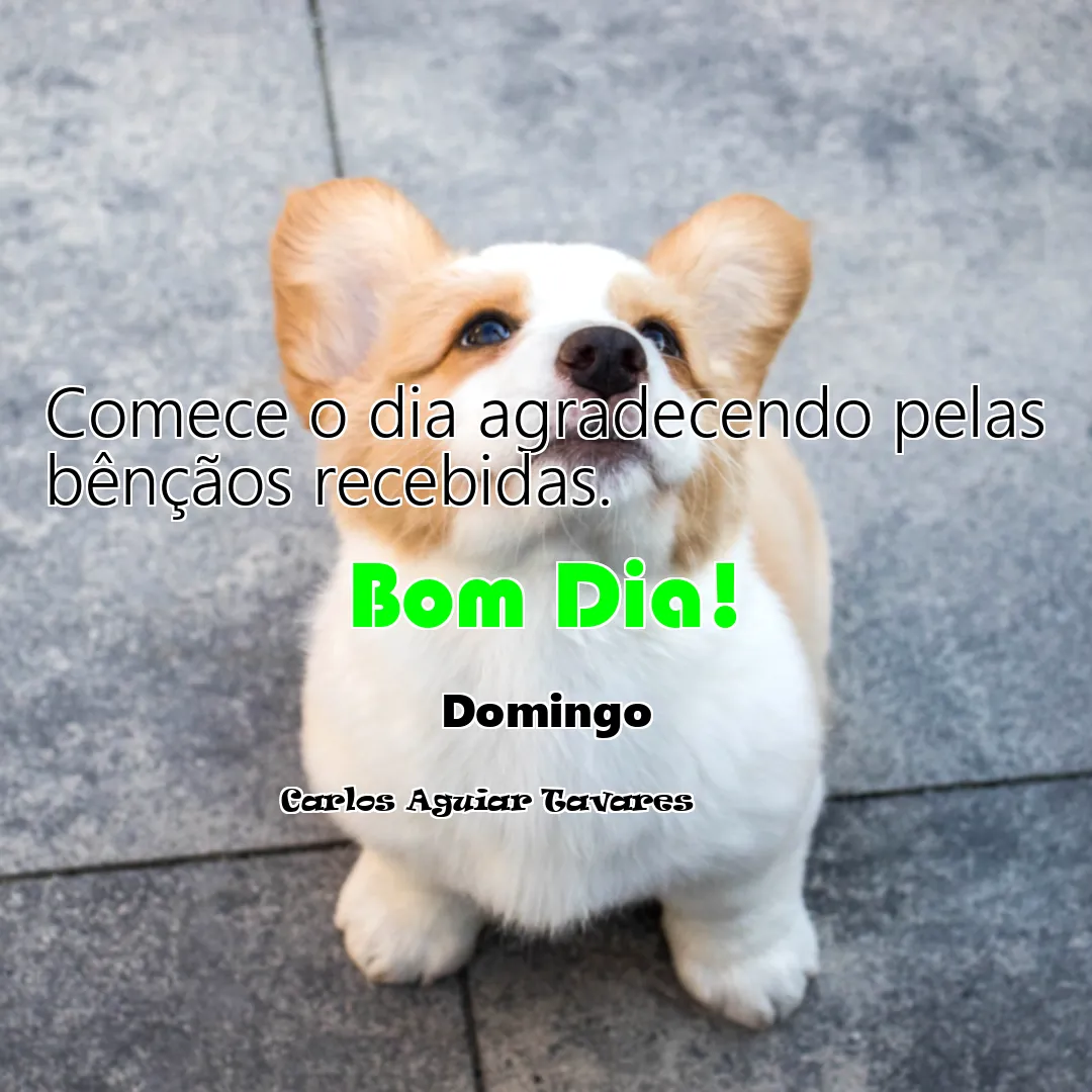 Comece o dia agradecendo pelas bênçãos recebidas.