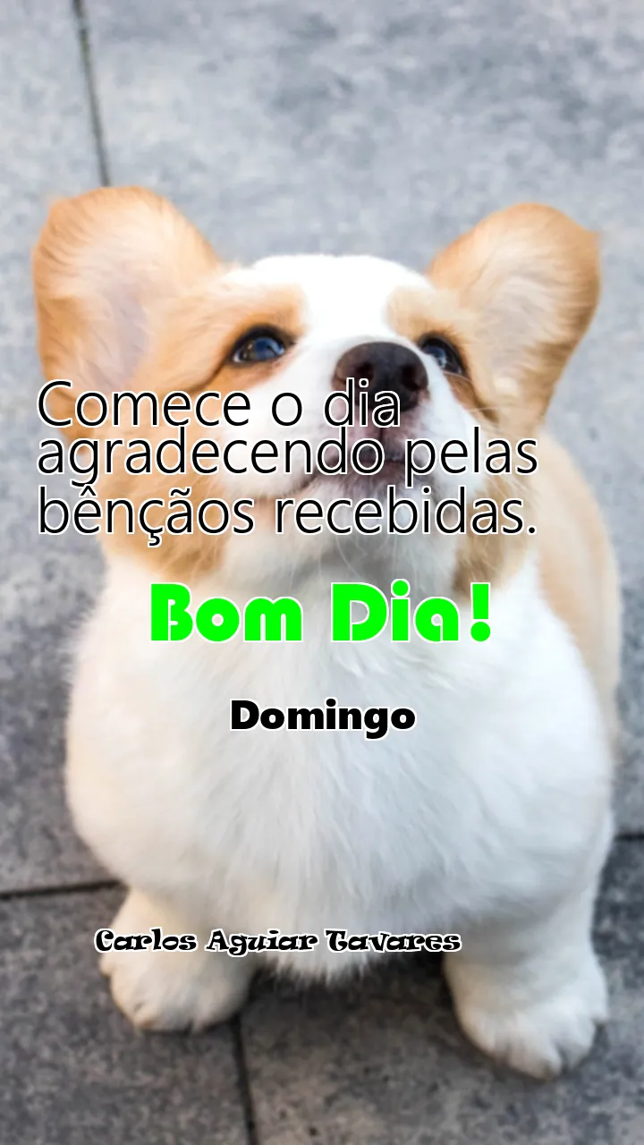 Comece o dia agradecendo pelas bênçãos recebidas.