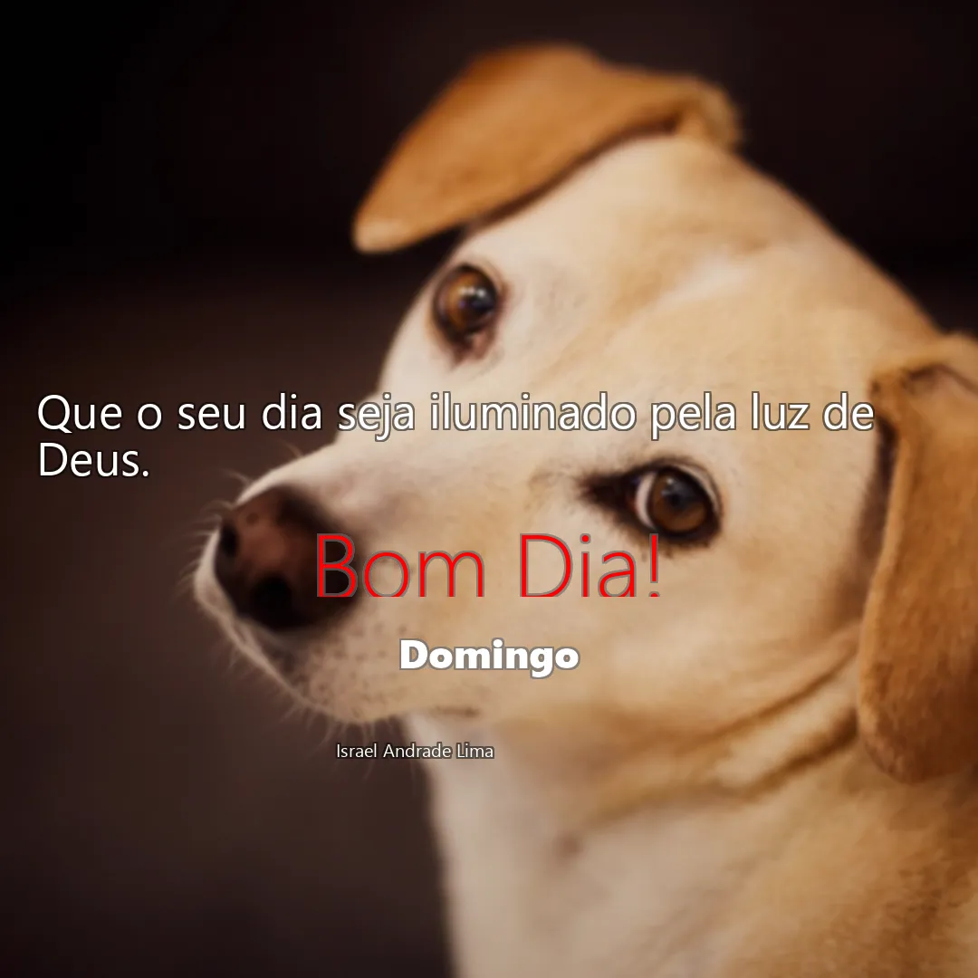 Que o seu dia seja iluminado pela luz de Deus.