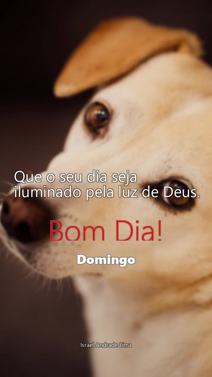 Que o seu dia seja iluminado pela luz de Deus.