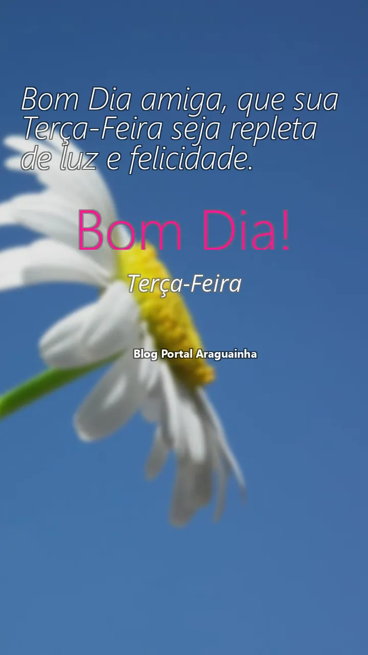 Bom Dia amiga, que sua Terça-Feira seja repleta de luz e felicidade.