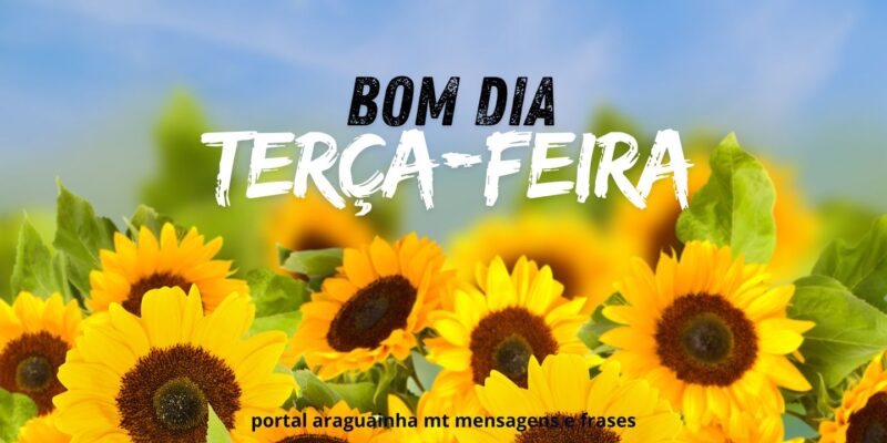 mensagem de bom dia terça-feira