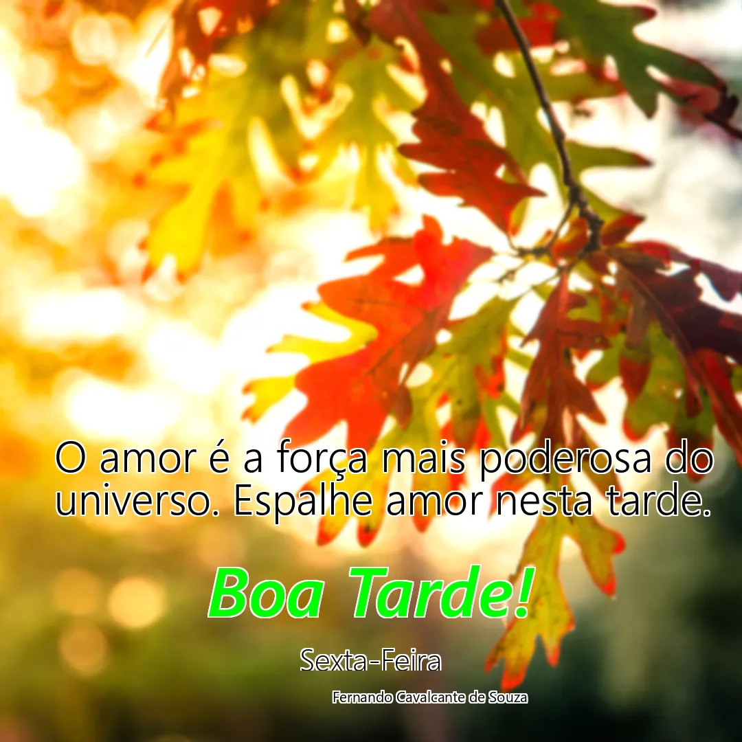 O amor é a força mais poderosa do universo. Espalhe amor nesta tarde.