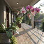 Orquidea