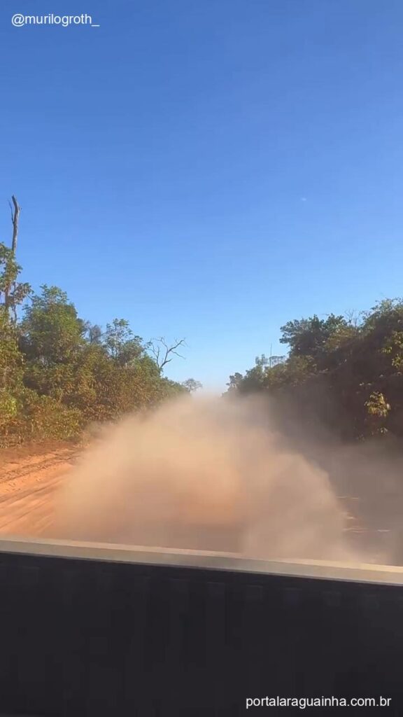 Onca cruzando estrada mato grosso