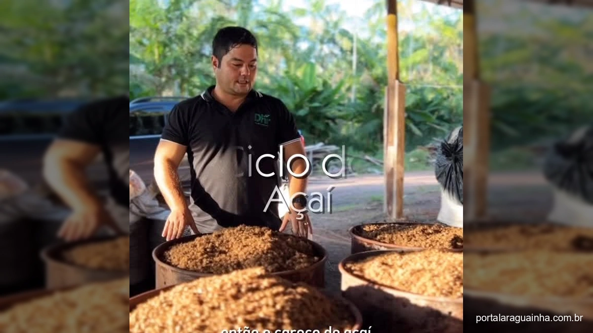 Caroços de açaí sendo preparados para se transformar em biochar, um condicionador de solo sustentável.