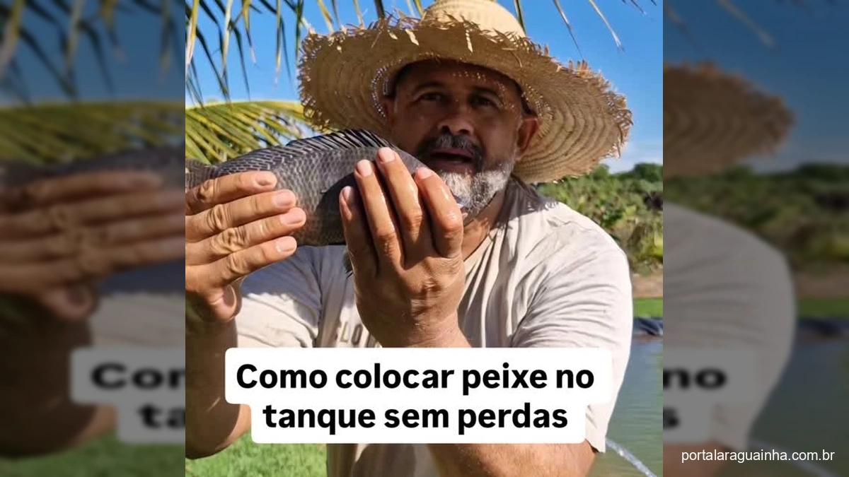 Técnica Essencial: Produtor de Mato Grosso Revela Como Soltar Peixes no Tanque Sem Perdas