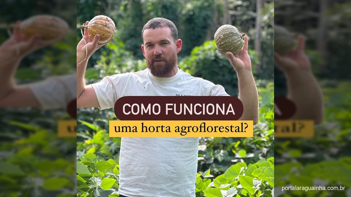 Revolução Verde em Sua Casa: Conheça a Agrofloresta e Transforme Seu Jardim!