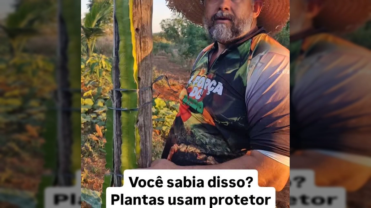 Plantas também precisam de ‘protetor solar’? Descubra este segredo inovador para proteger suas lavouras!