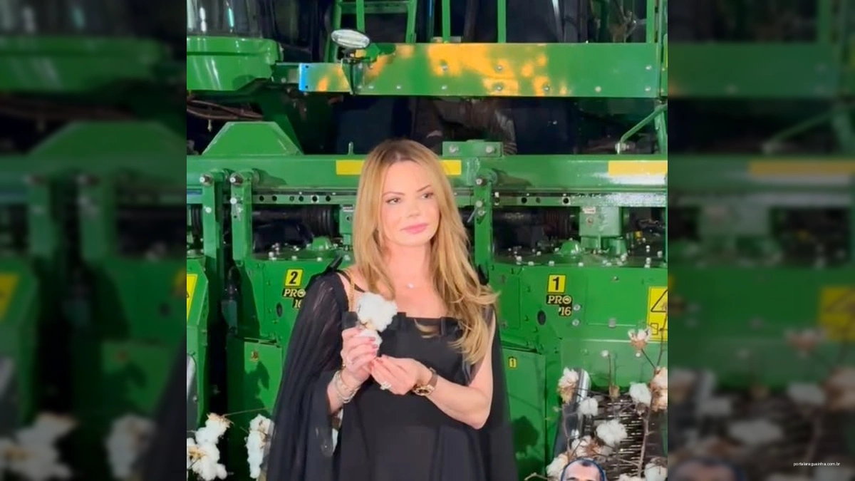 Mato Grosso: De Lavoura a Moda Global, Nosso Algodão Veste o Mundo com Força e Orgulho!