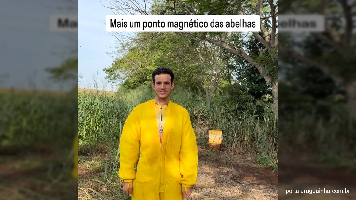 O Segredo Magnético das Abelhas Revelado: Apicultor Surpreende com Técnicas Antigas para Colmeias Produtivas!