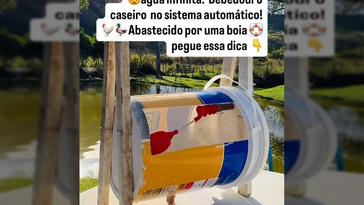 A Solução Incrível que Garante Água Fresca Infinitamente para Suas Aves: Um Segredo Rural Revelado!