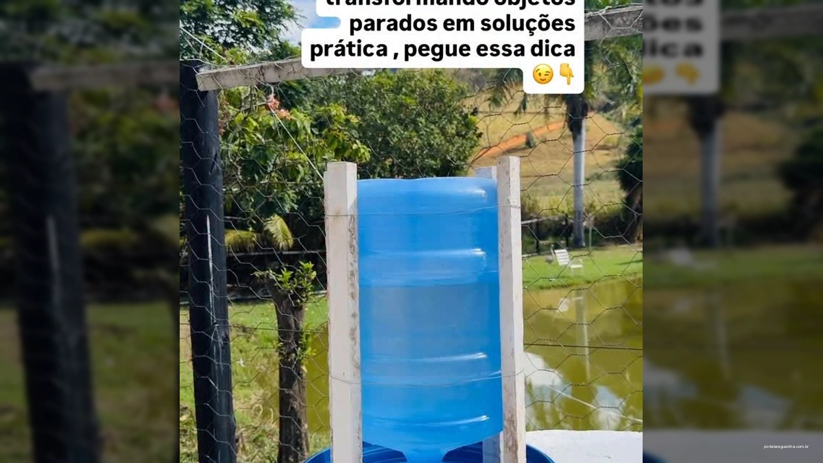 Revolução na Fazenda: Bebedouro Automático Caseiro Promete Água Fresca para Seus Animais com Custo Zero! Revolução na Fazenda: Bebedouro Automático Caseiro Promete Água Fresca para Seus Animais com Custo Zero!
