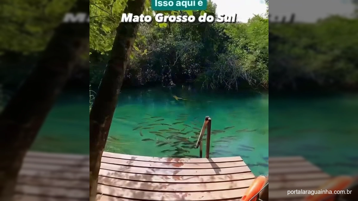 Paisagem de Bonito MS com rio de águas cristalinas e vegetação exuberante
