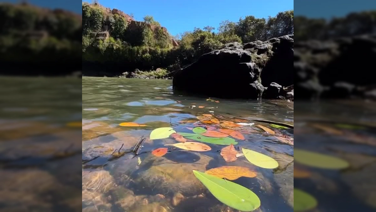 Cachoeira da Usina: Um Tesouro Natural Escondido em Mato Grosso Revelado em Vídeo Viral!