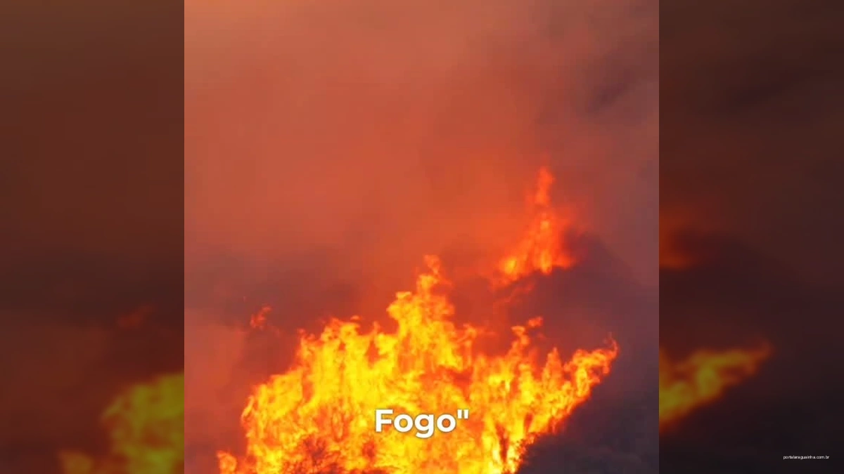 Vista aérea da cidade de Alta Floresta e imagem de fogo em vegetação para campanha de prevenção de incêndios.