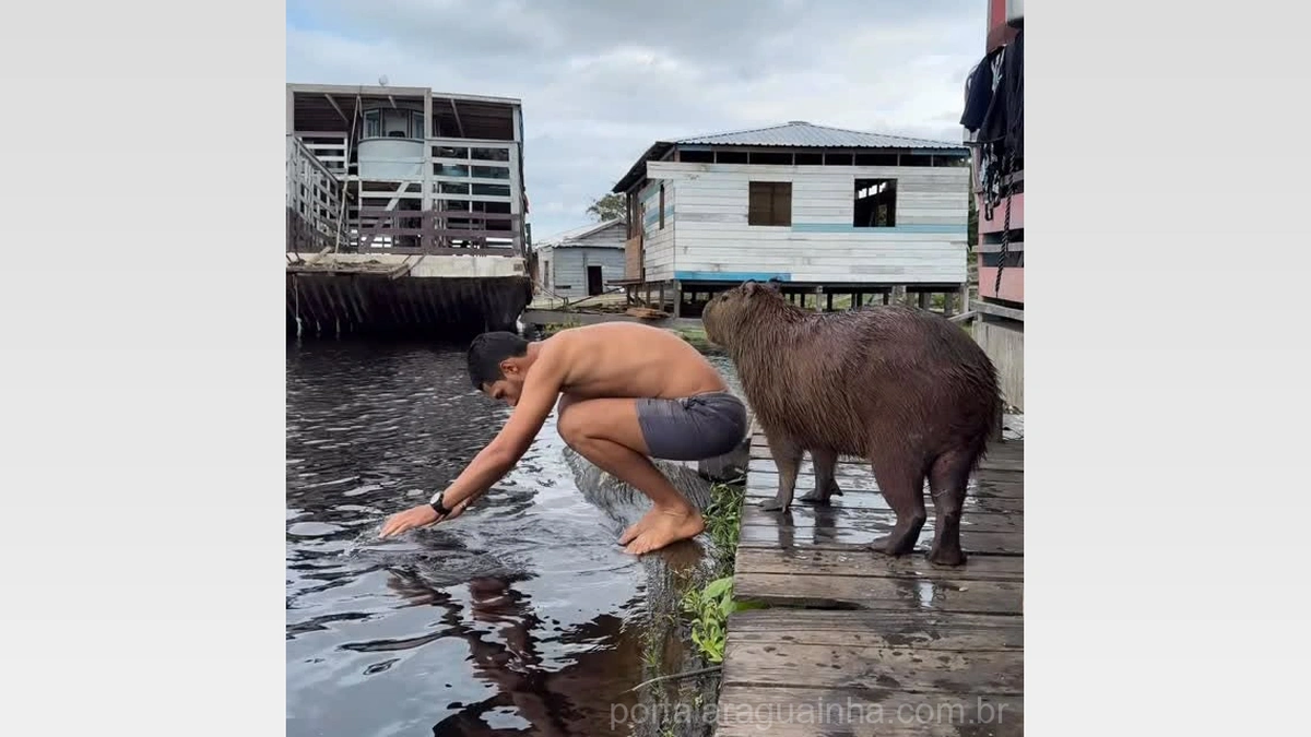 Amizade Inusitada! Capivara Filó e Agenor Trazem Sorrisos em Vídeo Viral