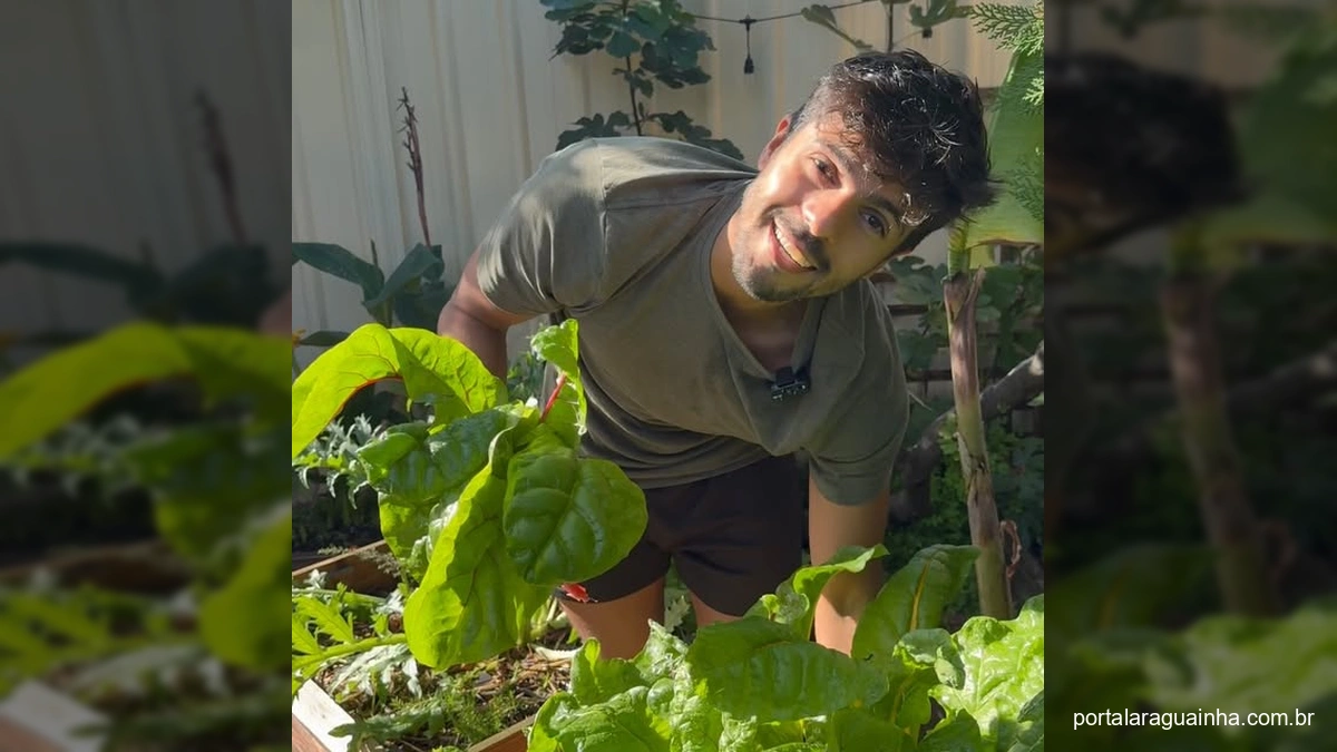 Cultive Sua Própria Salada Vibrante: Acelga Arco-Íris é a Chave para uma Horta Descomplicada!