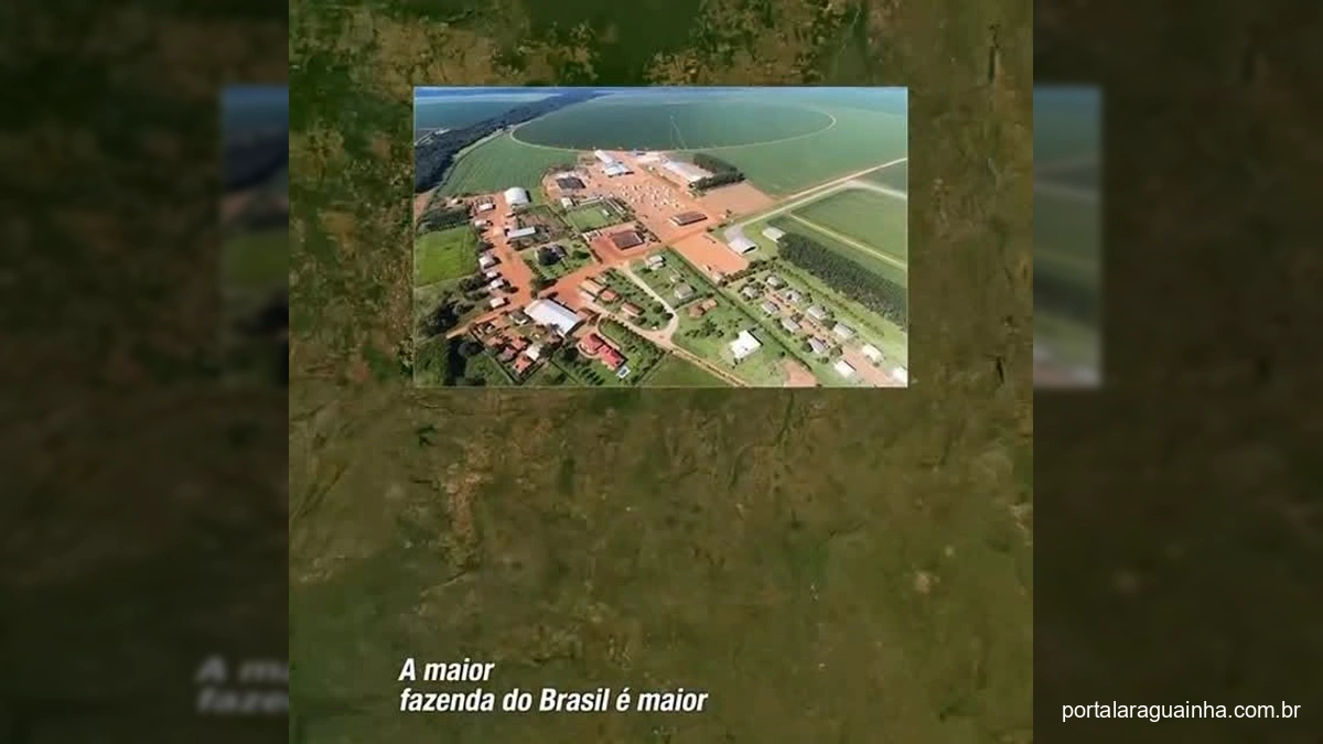 Vista aérea da Fazenda Roncador, mostrando áreas de lavoura e floresta nativa