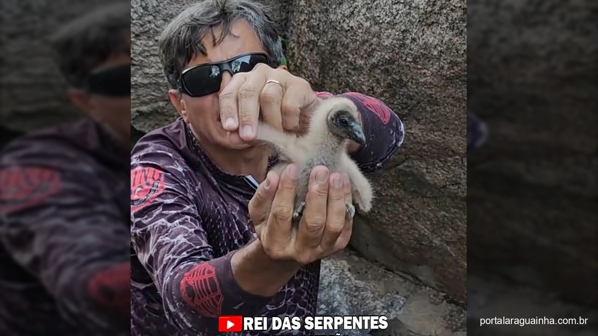 Filhote de urubu sendo segurado por homem em cenário rochoso, com explicação sobre alimentação.