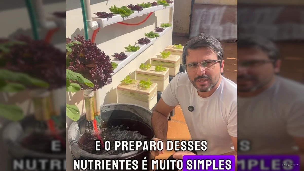 Homem mostrando um sistema de horta hidropônica com alfaces verdes e raízes saudáveis em um dia ensolarado