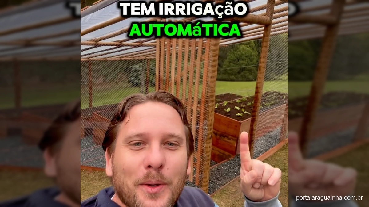Homem sorrindo na frente de uma horta com canteiros elevados e cobertura transparente.