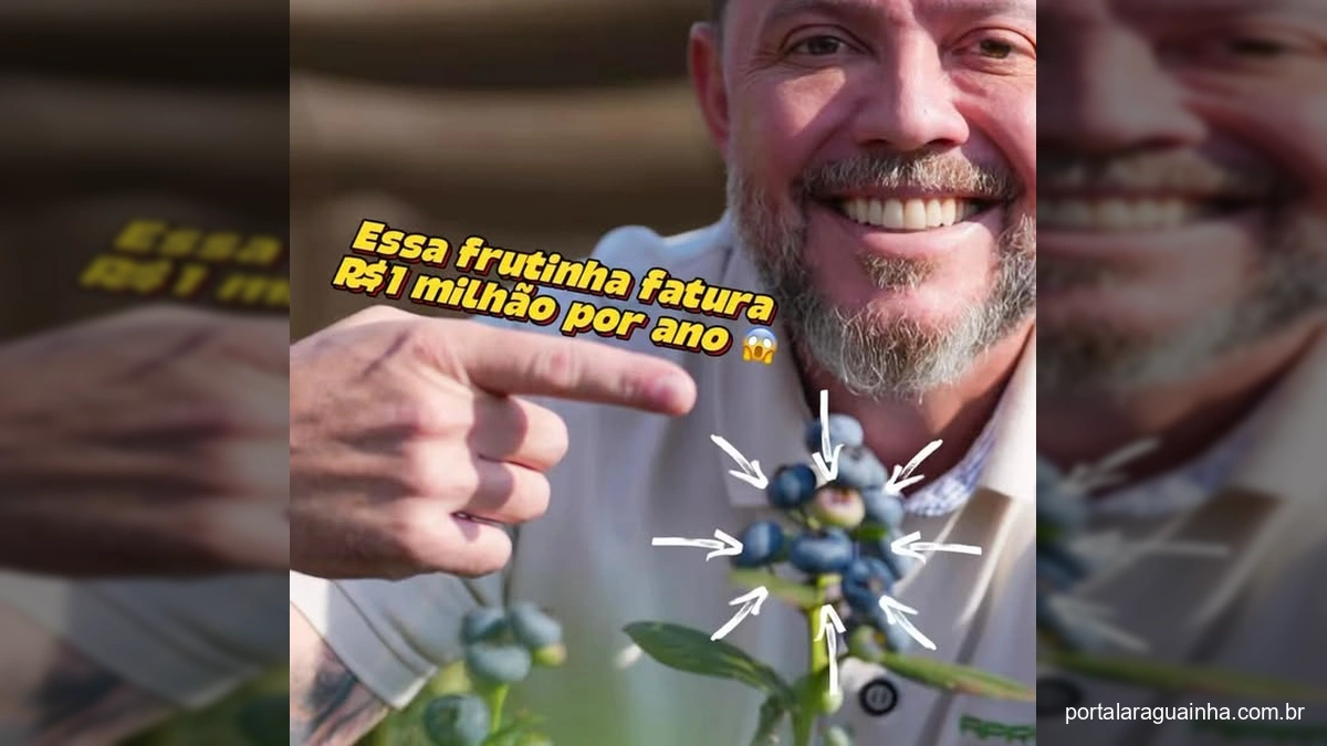 Revolução Verde em Mato Grosso: Blueberry Ganhando Terreno e Prometendo Milhões!