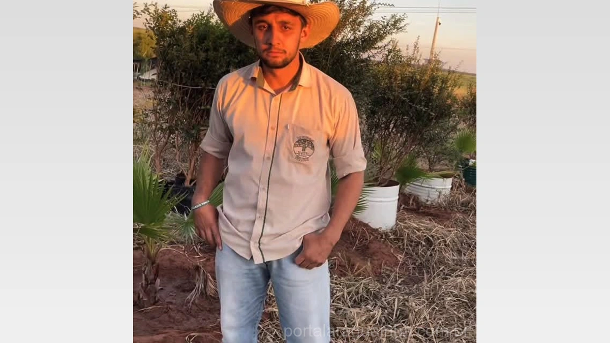 O Segredo Revelado: Jabuticaba Sabará Produzindo Frutos em Apenas 5 Anos!