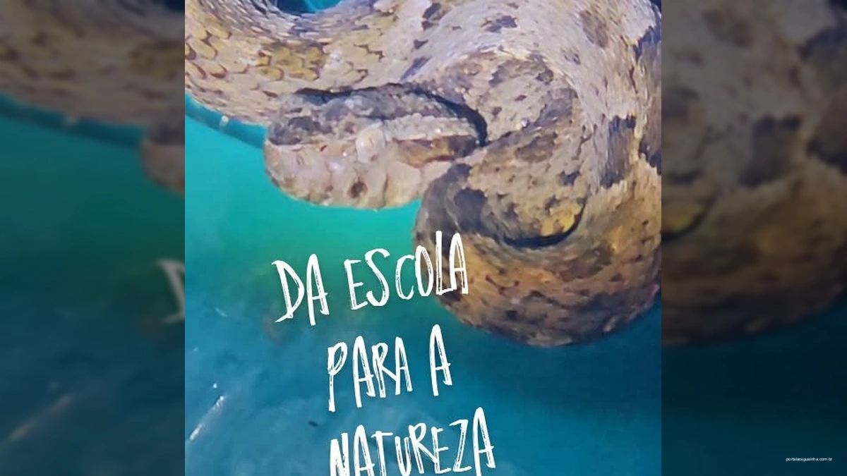 Resgate Heroico: Jararaca é Salva e Devolvida ao seu Habitat Natural