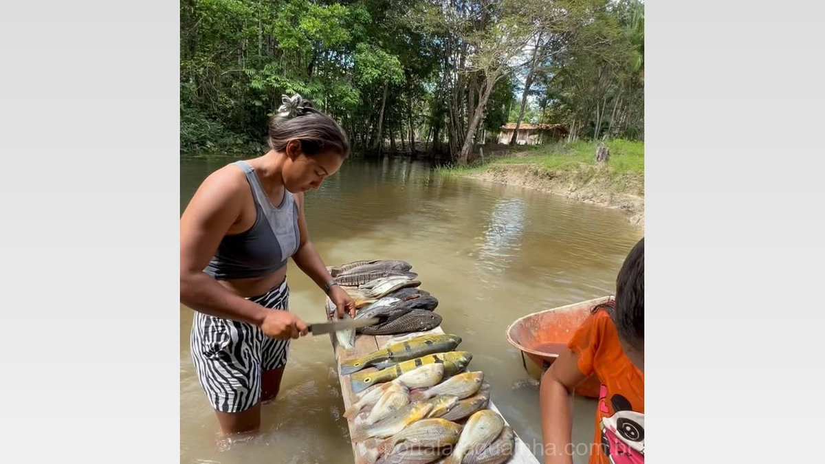 Vida Ribeirinha: Mulher Mostra Rotina de Limpeza de Peixes Frescos Direto no Rio em Tomé-Açu, Pará