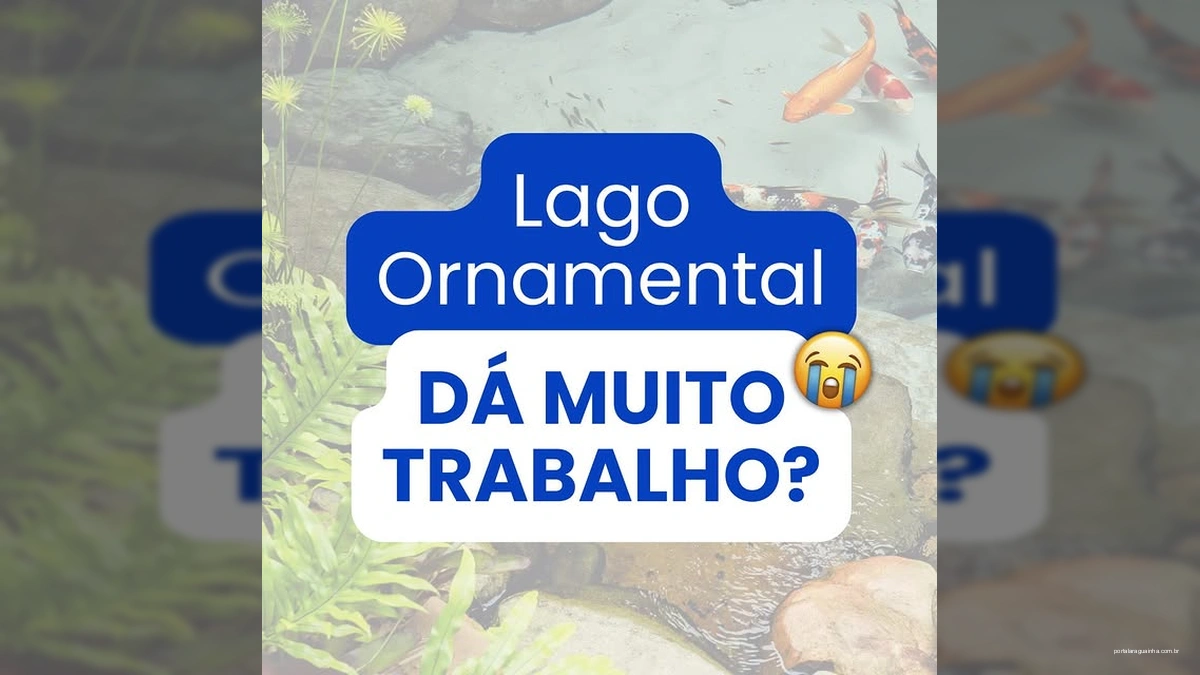 A Verdade por Trás da Manutenção de Lagos e Piscinas Naturais: Menos Trabalho do Que Você Imagina!