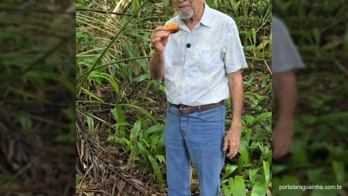 Murumuru: A Joia Perdida da Amazônia que Promete Revolucionar Nossas Cozinhas e a Saúde!