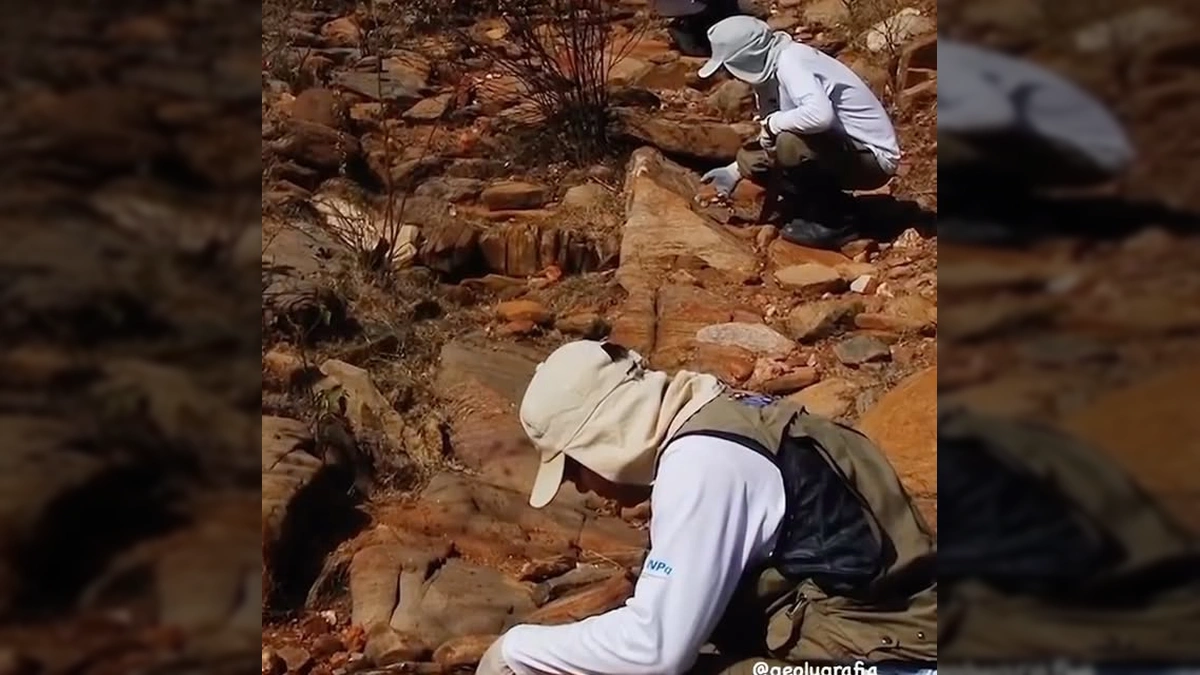 Arqueóloga Brasileira Revoluciona Entendimento sobre a Ocupação das Américas no Piauí!