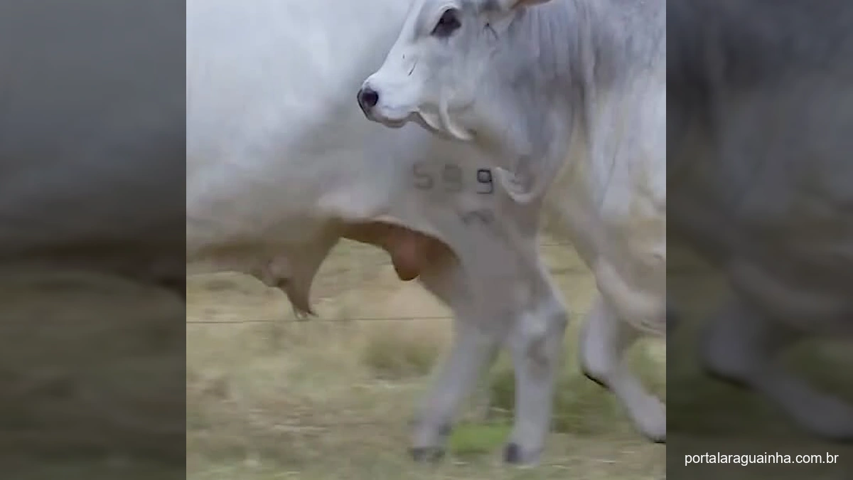 Luiz Carlos Moia, presidente do Sindicato Rural de Colíder, convida para o Show Rural e Expo Líder 2025, segurando um microfone.