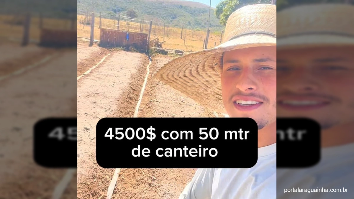 Lucro Verde na Roça: Produtor Revela Segredo para Faturar R$4.500 em Pequenas Hortas!