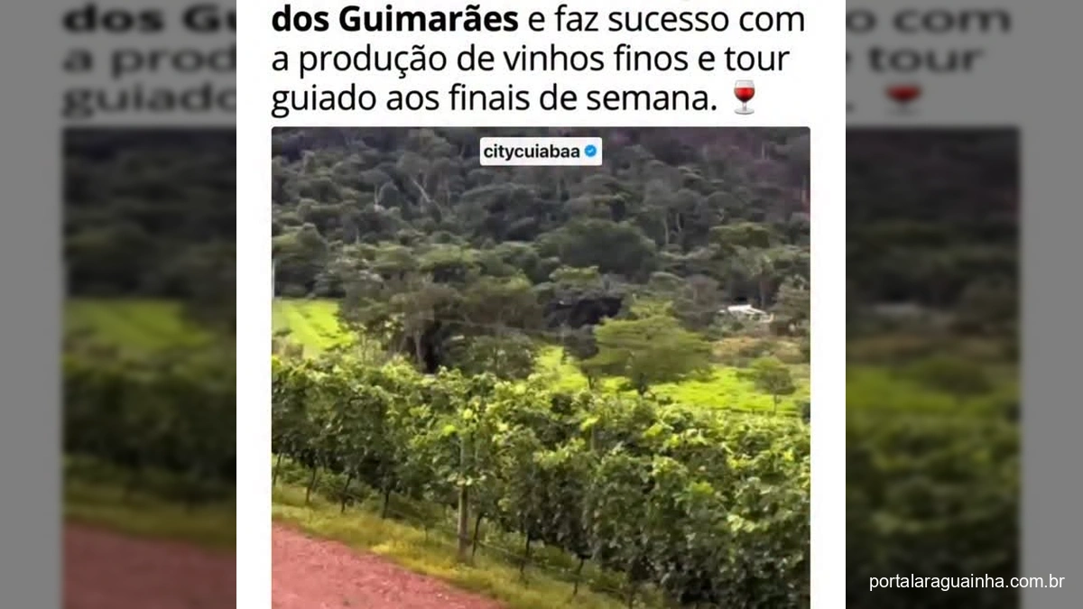 Chapada dos Guimarães Ganha Destaque com Vinícola Surpreendente e Vinhos Finos