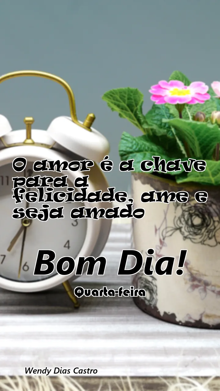 O amor é a chave para a felicidade, ame e seja amado